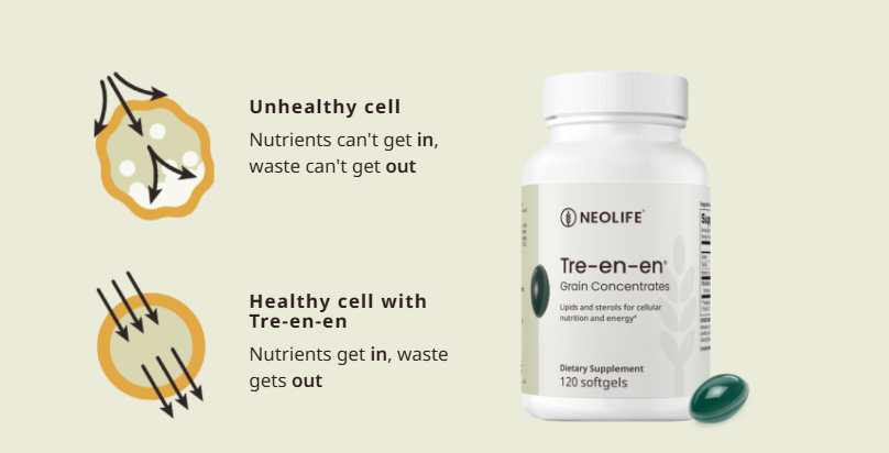 Tre en en whole grain phytonutrient Supplement