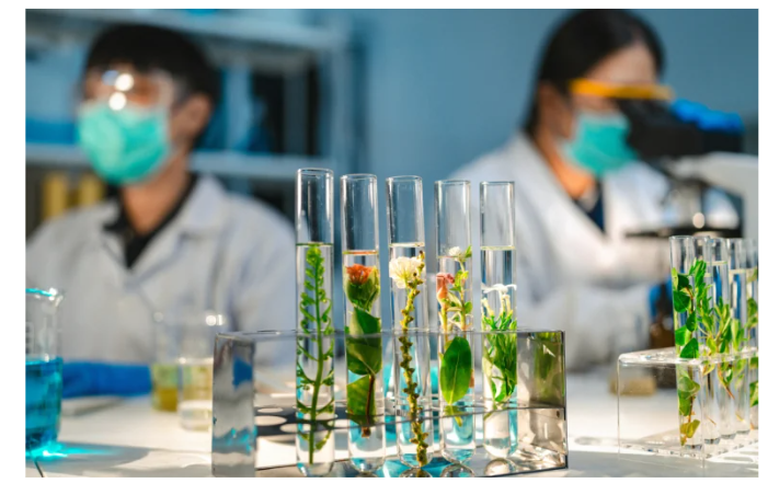 Lab Study at university