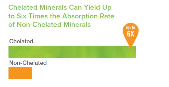 chelation improves absorptin