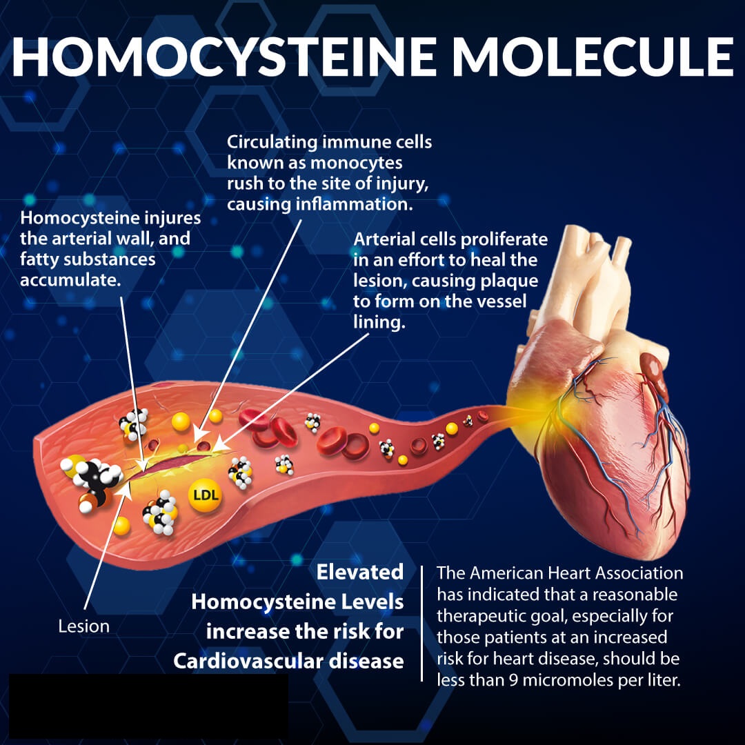 Homocysteine Molecule