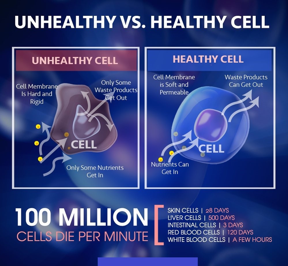 Cellular Nutrition